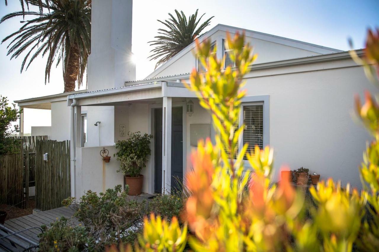 Palm Villa Cottage Kommetjie Ngoại thất bức ảnh
